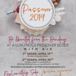Passover Seder young Jewish professionals