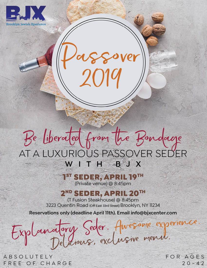 Passover Seder young Jewish professionals